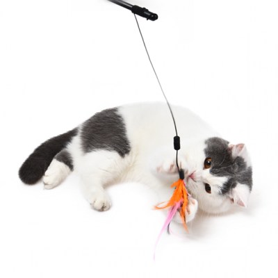 For Kitten with 2 Refills Catnip Interactive Retractable  Cat  Teaser Wand Feather Plush Toys