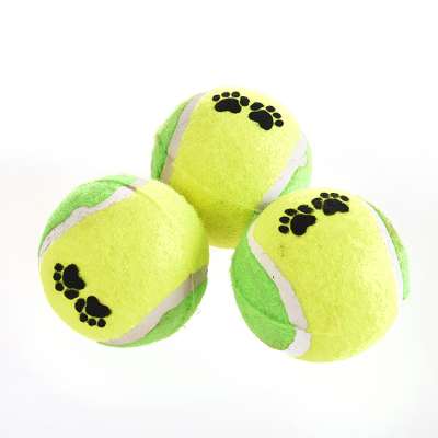 Speedypet High Quality Dog Ball Toy Pet Training Dog Tennis Ball